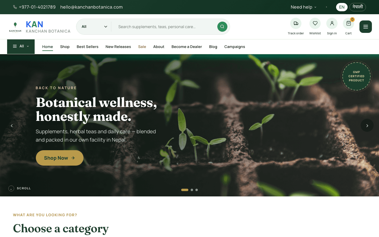 Holistic Wellness website preview